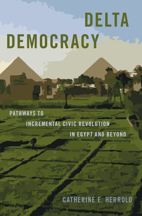 Cover image for book Delta Democracy