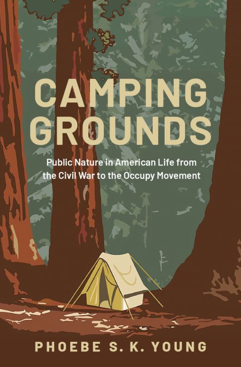 Cover image for book Camping Grounds