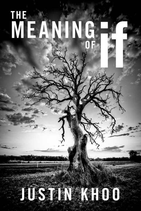 Cover image for book The Meaning of If