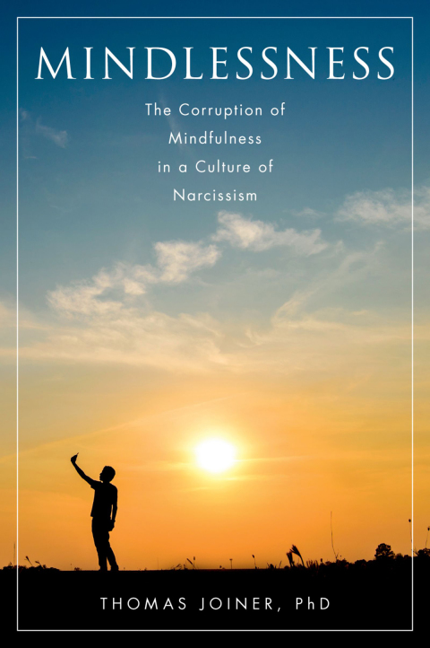 Cover image for book Mindlessness