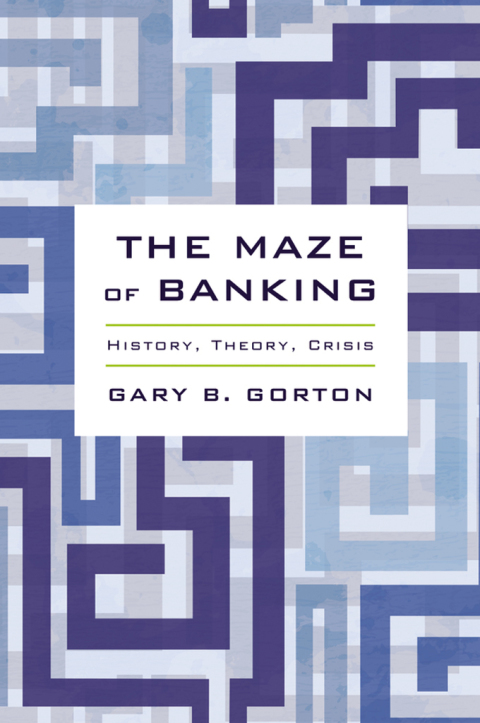 Cover image for book The Maze of Banking