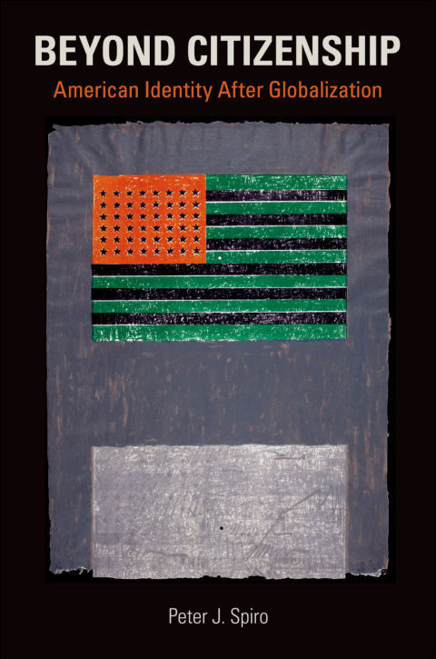 Cover image for book Beyond Citizenship