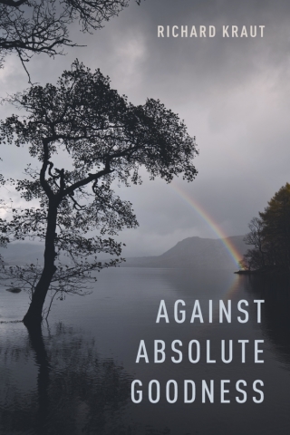 Against Absolute Goodness