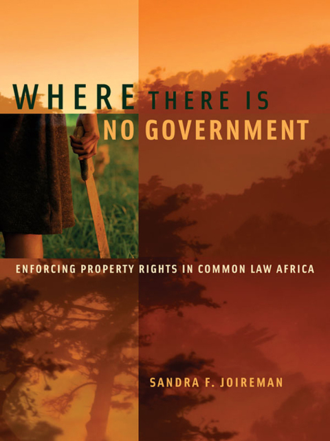 Cover image for book Where There is No Government