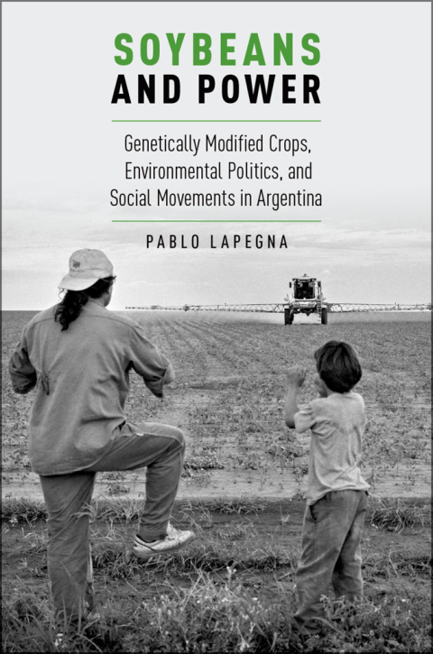 Cover image for book Soybeans and Power