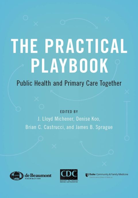 Cover image for book The Practical Playbook