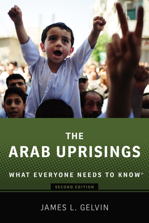 Cover image for book The Arab Uprisings