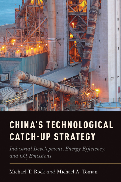 Cover image for book China's Technological Catch-Up Strategy