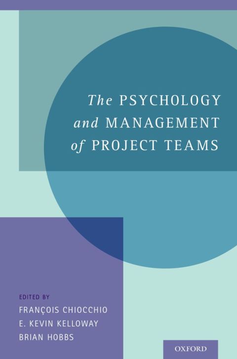 Cover image for book The Psychology and Management of Project Teams