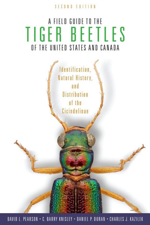 Cover image for book A Field Guide to the Tiger Beetles of the United States and Canada