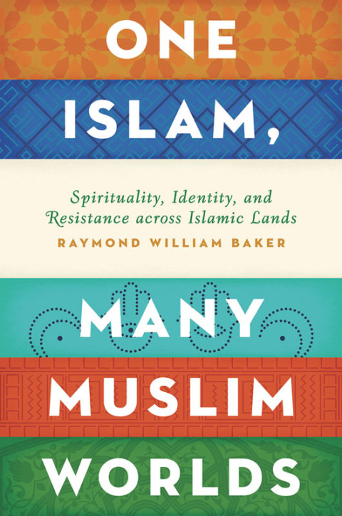 Cover image for book One Islam, Many Muslim Worlds