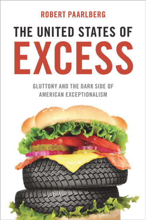 Cover image for book The United States of Excess