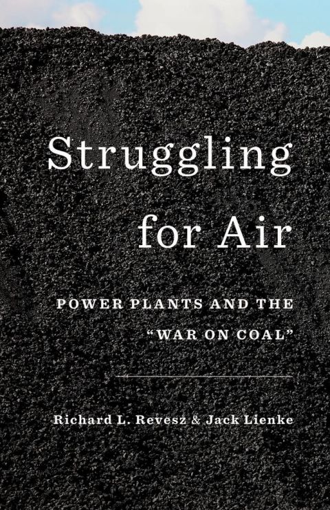 Cover image for book Struggling for Air