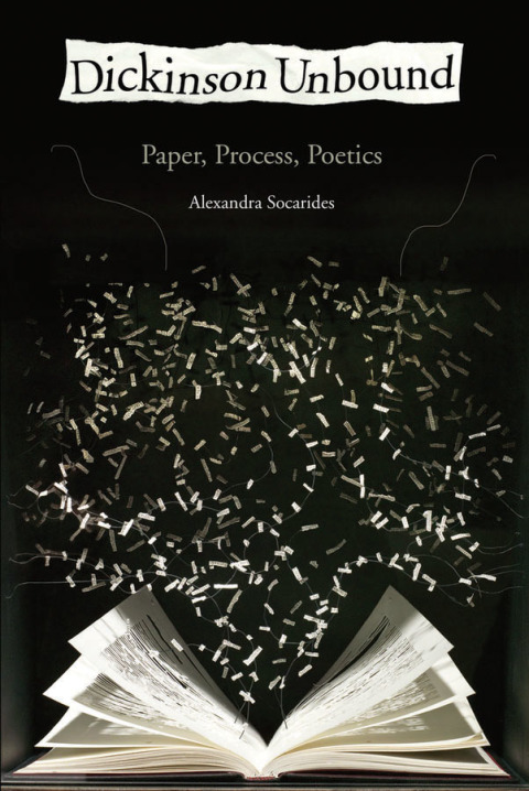 Cover image for book Dickinson Unbound