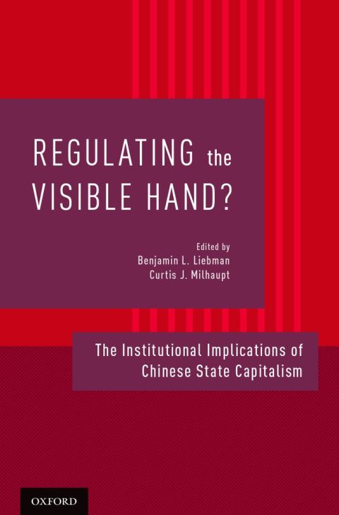 Cover image for book Regulating the Visible Hand?