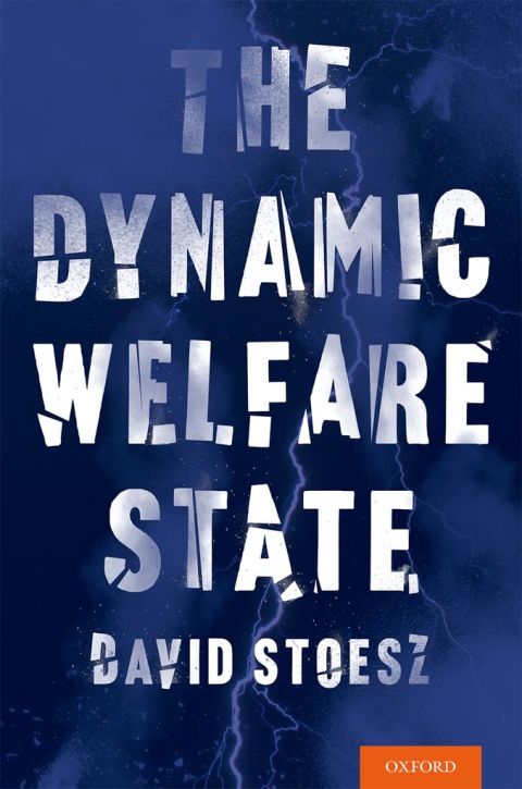 Cover image for book The Dynamic Welfare State