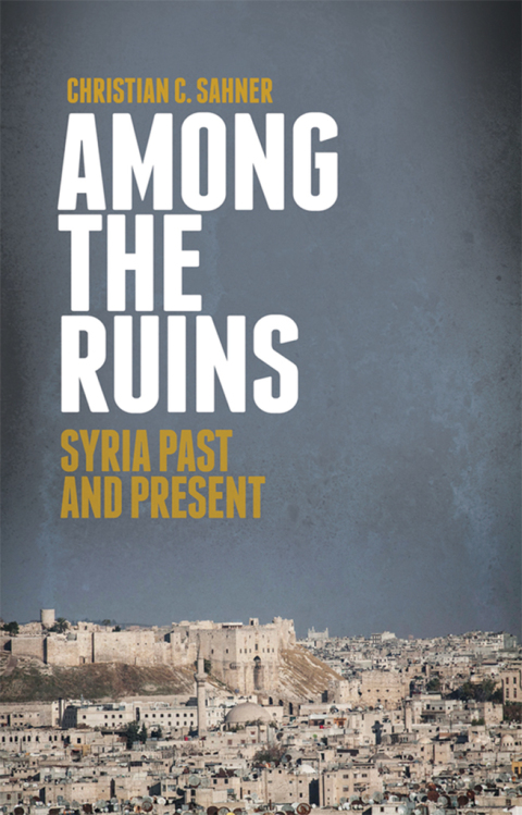 Cover image for book Among the Ruins
