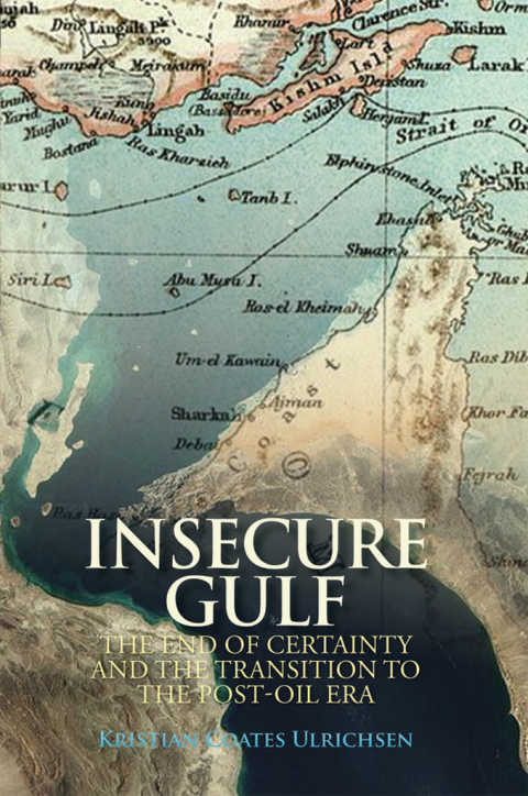 Cover image for book Insecure Gulf