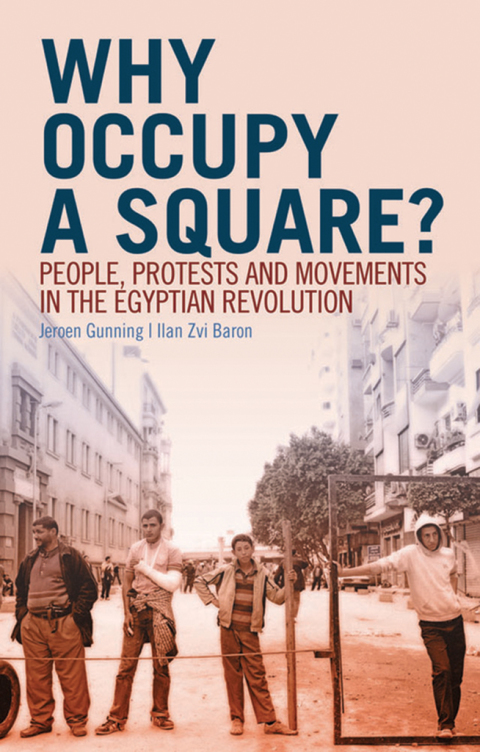 Cover image for book Why Occupy a Square?