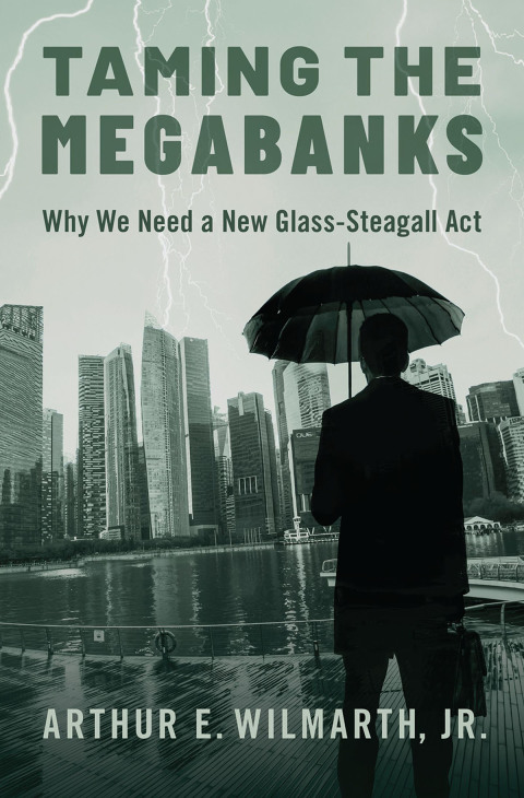 Cover image for book Taming the Megabanks