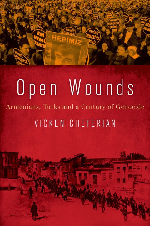 Cover image for book Open Wounds