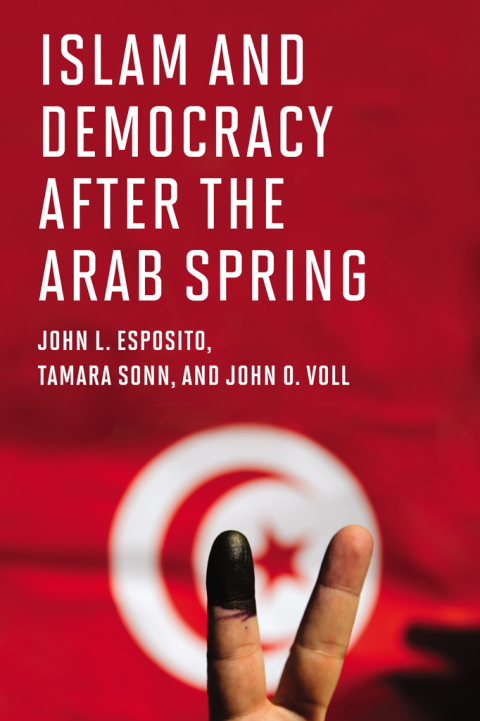 Cover image for book Islam and Democracy after the Arab Spring