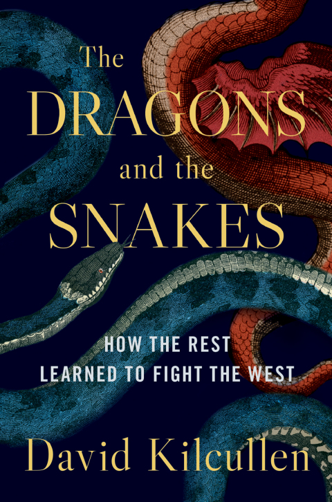 Cover image for book The Dragons and the Snakes