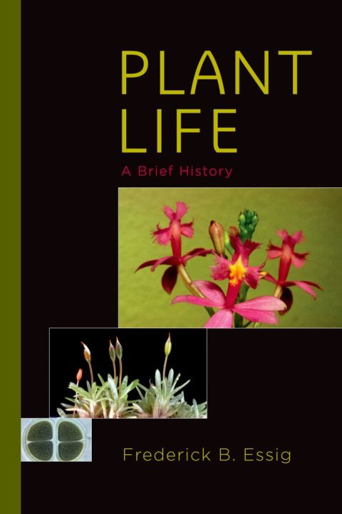 Cover image for book Plant Life