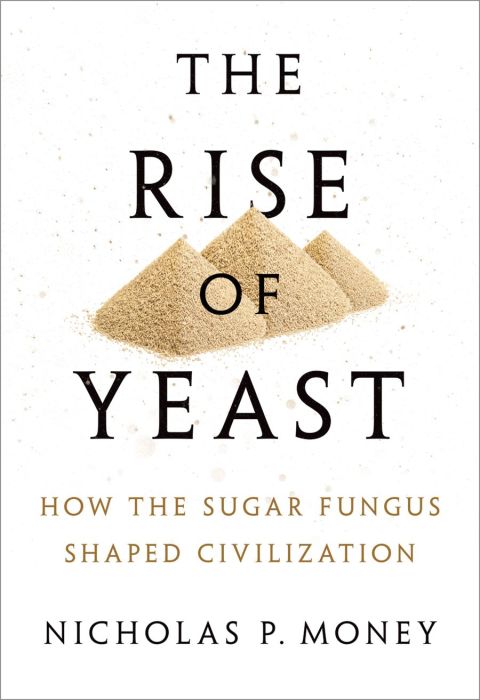 Cover image for book The Rise of Yeast