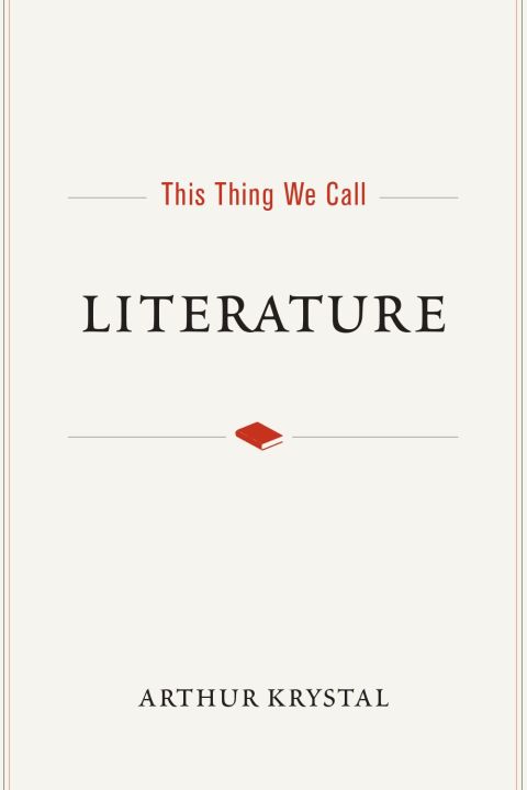 Cover image for book This Thing We Call Literature