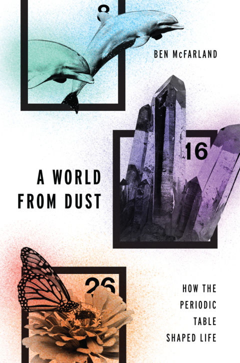 Cover image for book A World From Dust