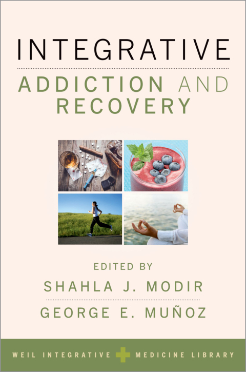 Cover image for book Integrative Addiction and Recovery