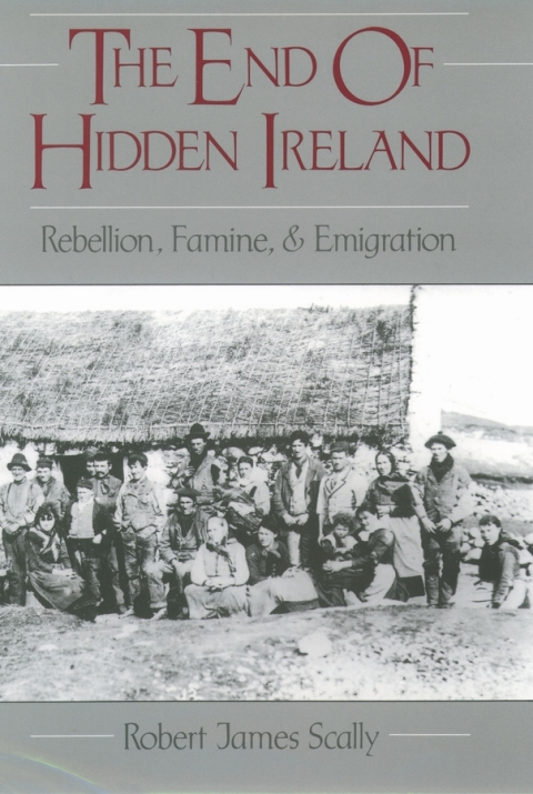 Cover image for book The End of Hidden Ireland