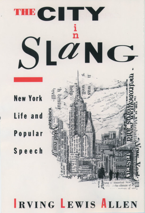 Cover image for book The City in Slang