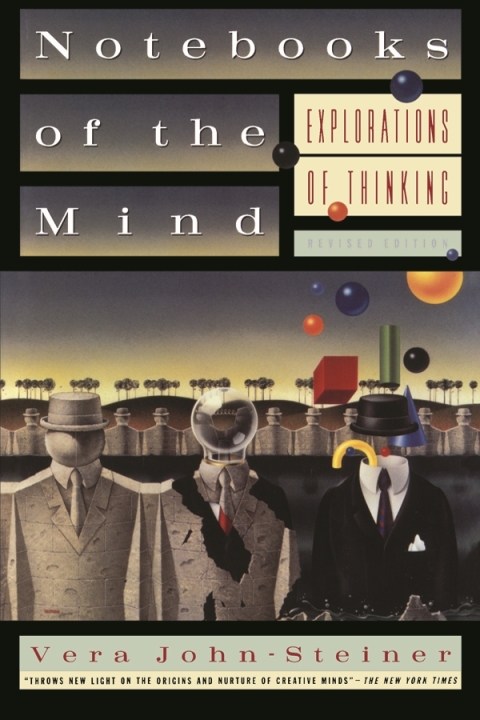 Cover image for book Notebooks of the Mind