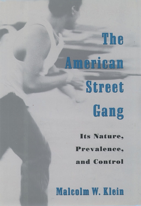 Cover image for book The American Street Gang