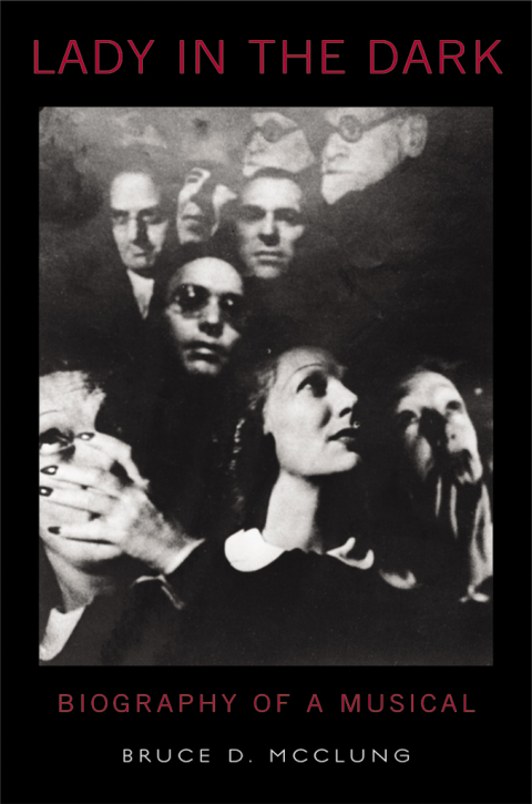 Cover image for book Lady in the Dark