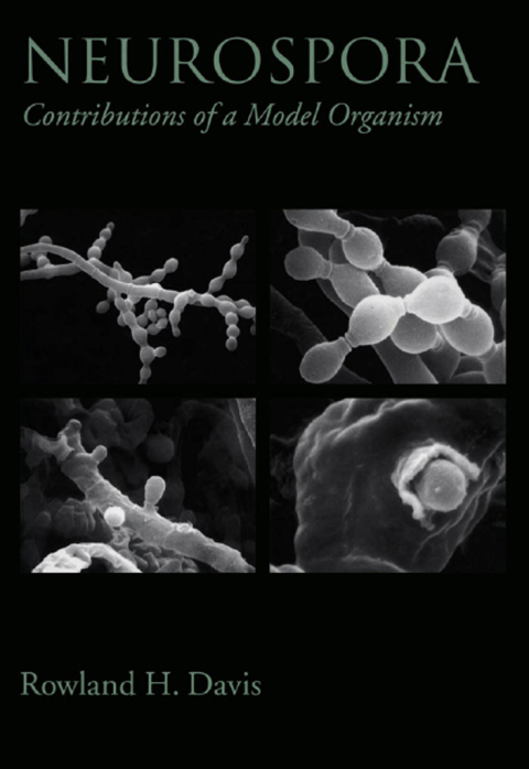 Cover image for book Neurospora