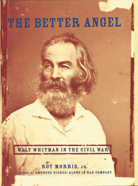 Cover image for book The Better Angel