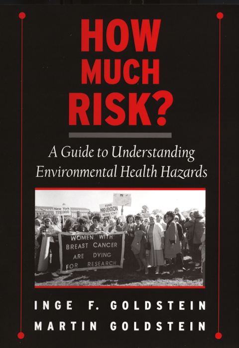 Cover image for book How Much Risk?