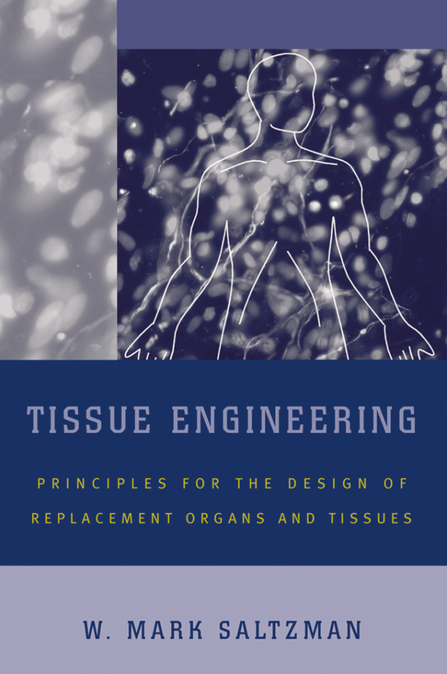 Tissue Engineering