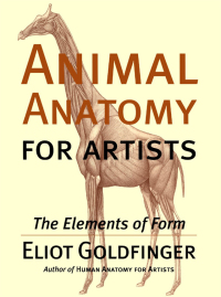 Cover image: Animal Anatomy for Artists 9780195142143