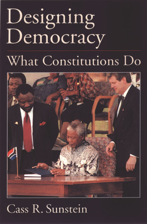 Cover image for book Designing Democracy