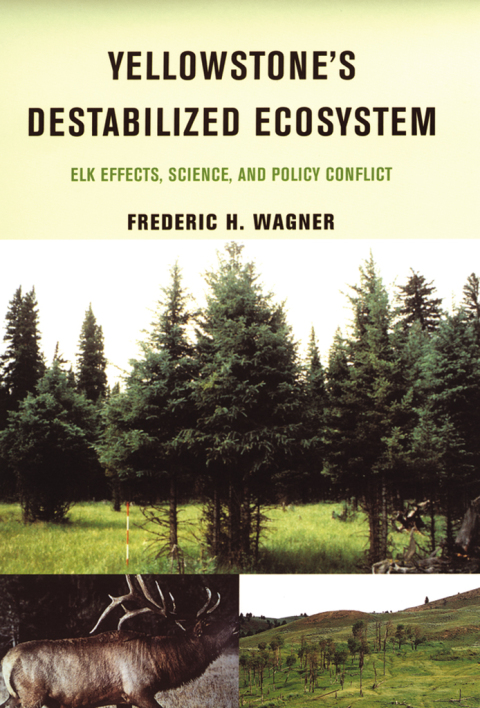 Cover image for book Yellowstone's Destabilized Ecosystem