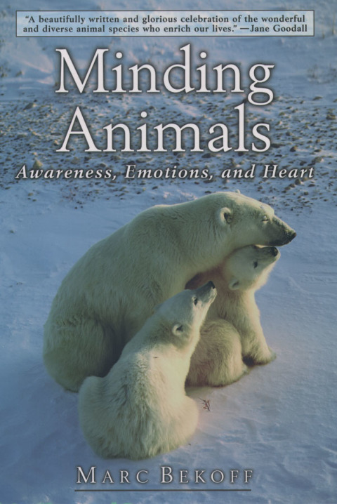 Cover image for book Minding Animals