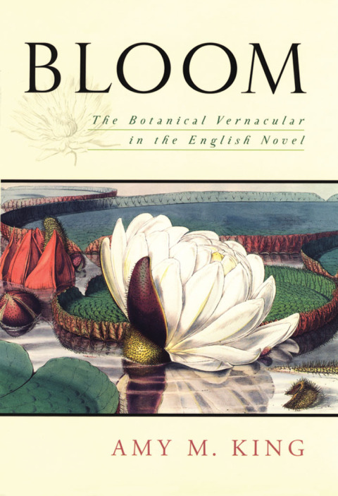 Cover image for book Bloom