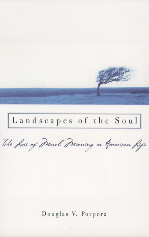 Cover image for book Landscapes of the Soul