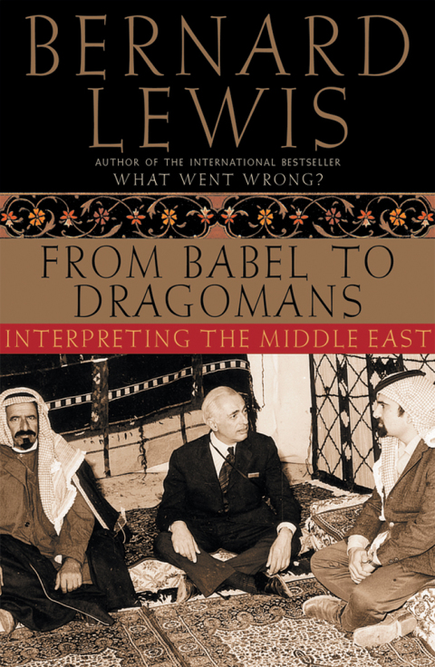 Cover image for book From Babel to Dragomans