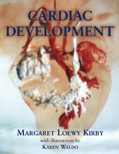 Cover image for book Cardiac Development