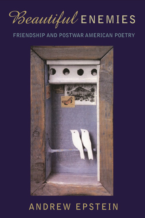 Cover image for book Beautiful Enemies